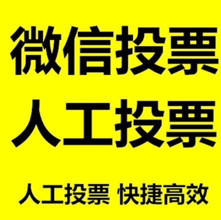 南阳市投票活动拉票能被查出来吗？如何操作能不被发现？
